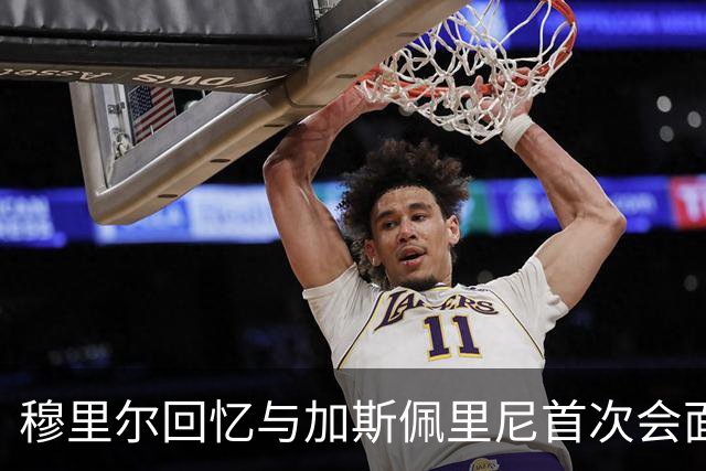 穆里尔回忆与加斯佩里尼首次会面及其期望